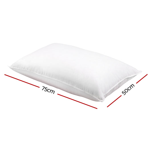 Giselle Bedding Duck Feather Down Pillow Twin Pack PILLOW-DFD-X2