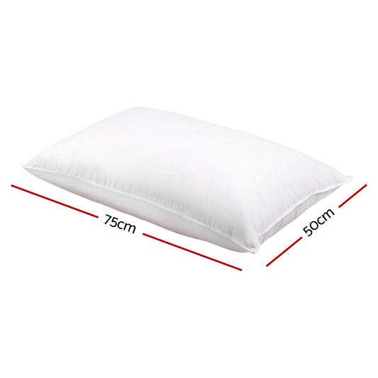 Giselle Bedding Goose Feather Down Pillow Twin Pack PILLOW-GOOSE-X2