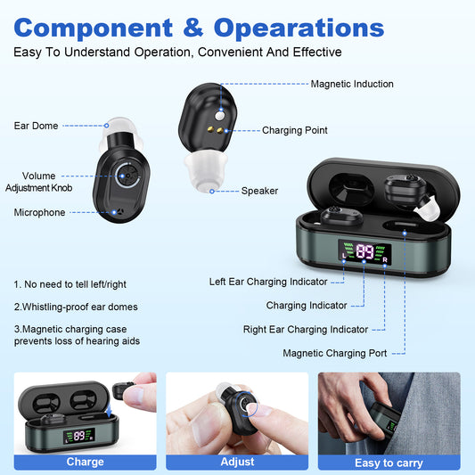 Rechargeable In-the-Ear Hearing Aids with Charging Case and LCD Display - Ultra-Compact Sound Amplifier for V1107-CS-HLCHS