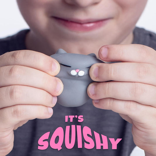 2 PCS Mini Cat Squishy Toy for Office & Classroom - Soft Silicone Stress Reliever to Calm Anxiety (Grey & V1107-CS-MNJYXM