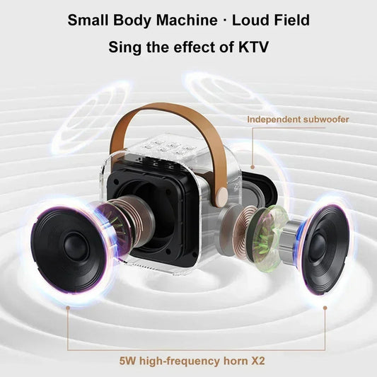 NNEOBA K12 Bluetooth Karaoke Machine V1142-1005007178210183-B