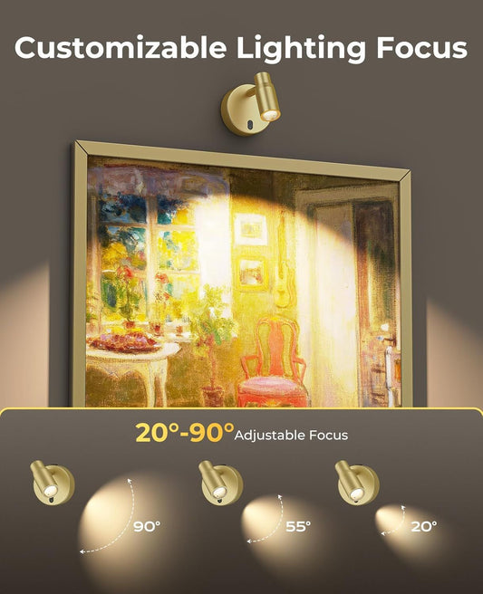 Spot Lights Indoor, Rechargeable Picture Light with Remote, Dimmable CCT Spotlight for Wall Art, 6000mAh V1171-CB-BOM001479