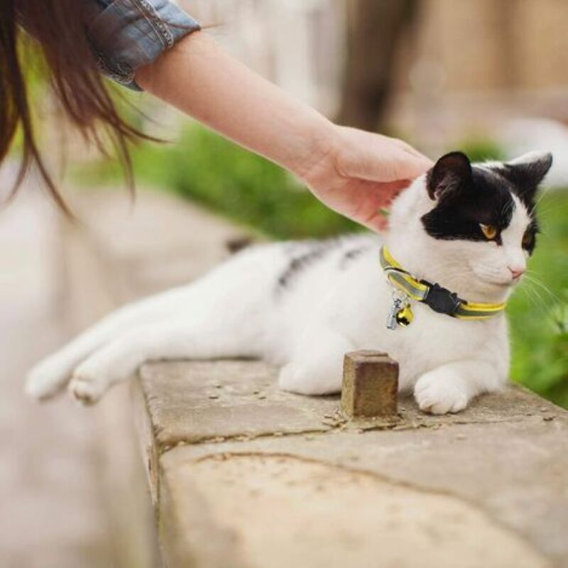 Adjustable Reflective Collars for Cats and Puppies with Bell and Safety Buckle, 6X Multicolor Pet Accessories V1188-CE-78-02077