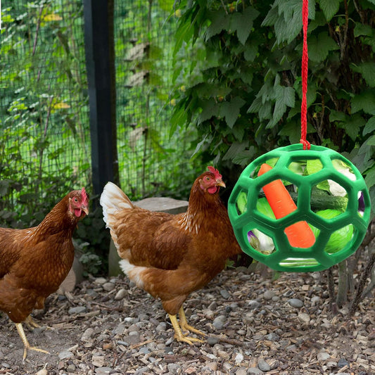 2pcs Chicken Vegetable Feeder Ball Hanging Feeding Toy, Poultry Fruit Holder Chicken Cabbage Feeder Treat V1188-CYX-DP-195