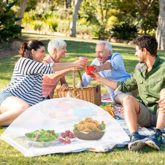 6 pcs Foldable Food Cover Anti-Fly Mesh Food Cover Tent Umbrella Anti-Insect Protection For Bbq Picnic Food,1 V1188-MS-227-0606