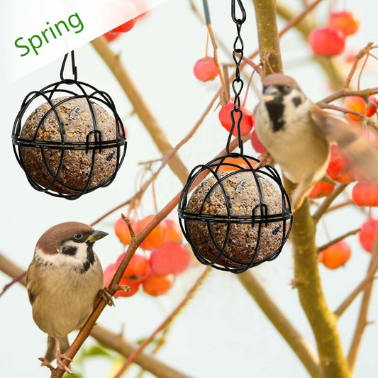 4 pcs Hanging Bird Feeders Metal Bird Fat Ball Holder Indoor Outdoor Black 7Cm Diameter Food Dispenser With 4 V1188-MS-227-1458