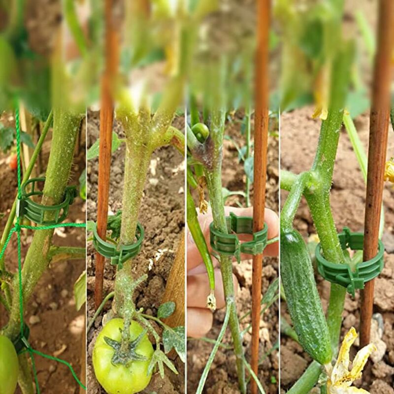 100 pcs Plant Support Clips Tomato Clips Ties Twine Vine Trellis Cages Climbing Plants Vegetables 2.5Cm V1188-MS-227-1561
