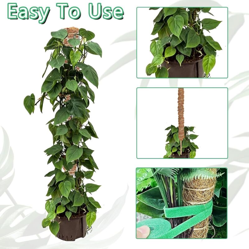 2 pcs Foldable Plant Stake, 60Cm Long Plant Stake Coco Climbing Plant Support, Climbing Plant Support For V1188-MS-227-1659