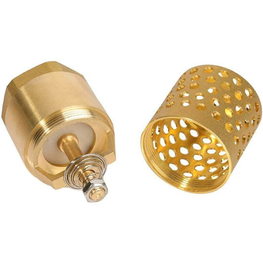 1 Inch Pump Check Valve - Foot Valve Strainer Check Valve (1 Inch) V1188-MS-227-1746