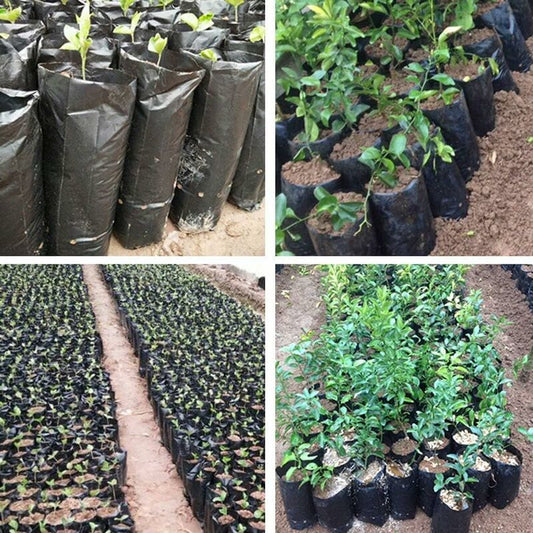 100 pcs Thickened Plastic Plant Nursery Bags Fruit Flower Seedling Planting Bags Garden Plant Grow Bags With V1188-MS-227-2091