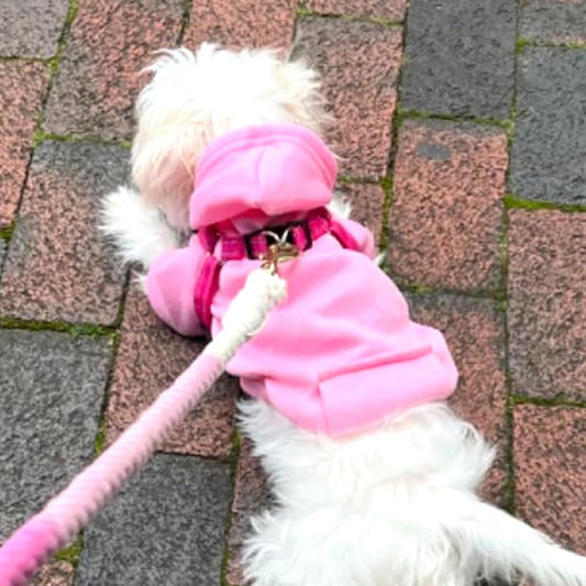 Dog Coat - Winter Hoodie - Warm Dog Coat - With Pockets - Sweatshirt - Warm Clothing - Chihuahua Dog Coat - V1188-MS-313-0441