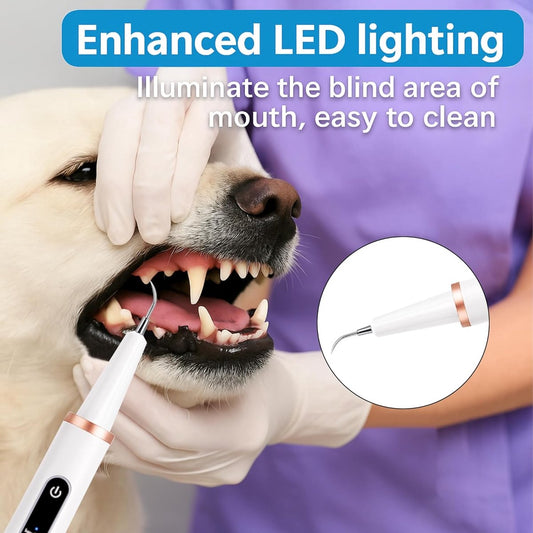 Electric Dog Toothbrush - Dental Cleaning Tools - Dog Toothbrush Set with LED Light - Rechargeable Dental V1188-MS-313-0493