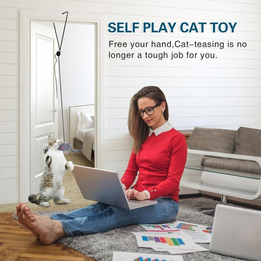 Cat Toy with Mouse and Feather, Hanging Door Toy for Indoor Cats, Stimulating Play V1188-MS-325-0312