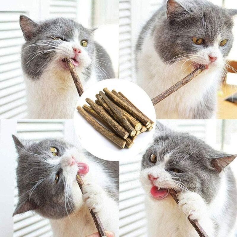 30 Pack Natural Matatabi Catnip Sticks for Dental Treats V1188-MS-520-099