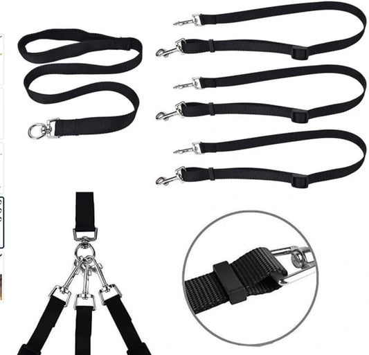 3-in-1 Dog Leash - Adjustable, detachable, for medium-sized dogs V1188-MS101-00995-1