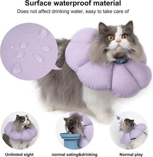 Protective Collar - Cat Collar - Collar - Cat Recovery Collar - Cat Collar - Cat Collar - Protective Collar V1188-MS101-01936-1