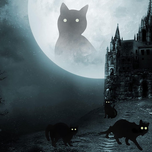 Halloween - 3-piece - Halloween Decoration - Decoration - Black Cat - Yard Signs Decorations - Scary V1188-MS101-02164-1