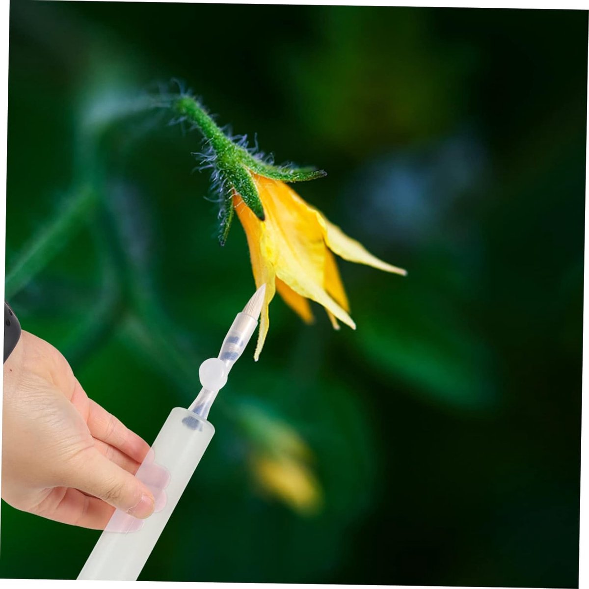 Pollination Pen - Professional Plant Pollinator Tool - Practical & Efficient - For Flower Pollination - V1188-MS101-02223-1