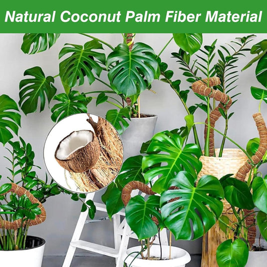 2 pieces - 60cm - Plant supports - Foldable plant support - Climbing plant stake - Monstera Stakes - Plant V1188-MS101-03362-1