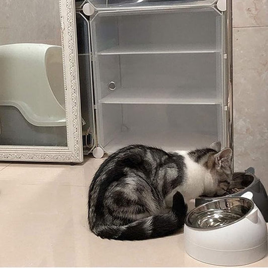 2 pieces - food bowls for cats - Dog food bowl - black, white - 200 ml - Drinking bowl for dogs and cats - V1188-NK-BOL-317