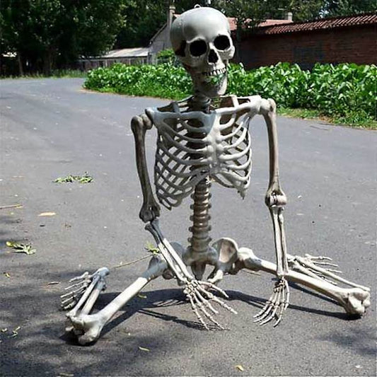 Halloween Skeleton Life Size, Full Body with Movable Joints, Human Legs, Scary Halloween Skeleton Decoration V1188-XJCJ-106681