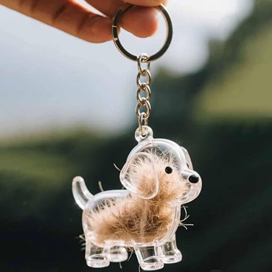 Keychain - Dog Hair Collection - Memory Capsule Pendant - DIY-1pc V1189-HB001CYTR00016