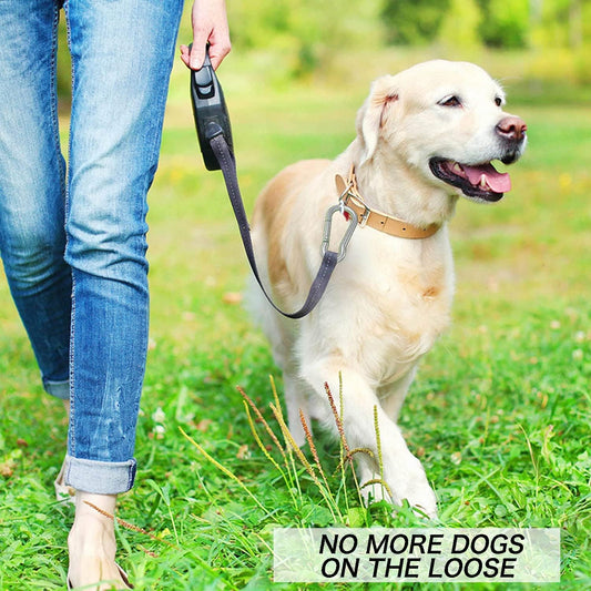 Buckle - M6 buckle - Suitable for hiking, camping, fishing, dog leashes, etc. - 60mm - Can bear 70kg - 10 V1189-HB001ZSSA00163