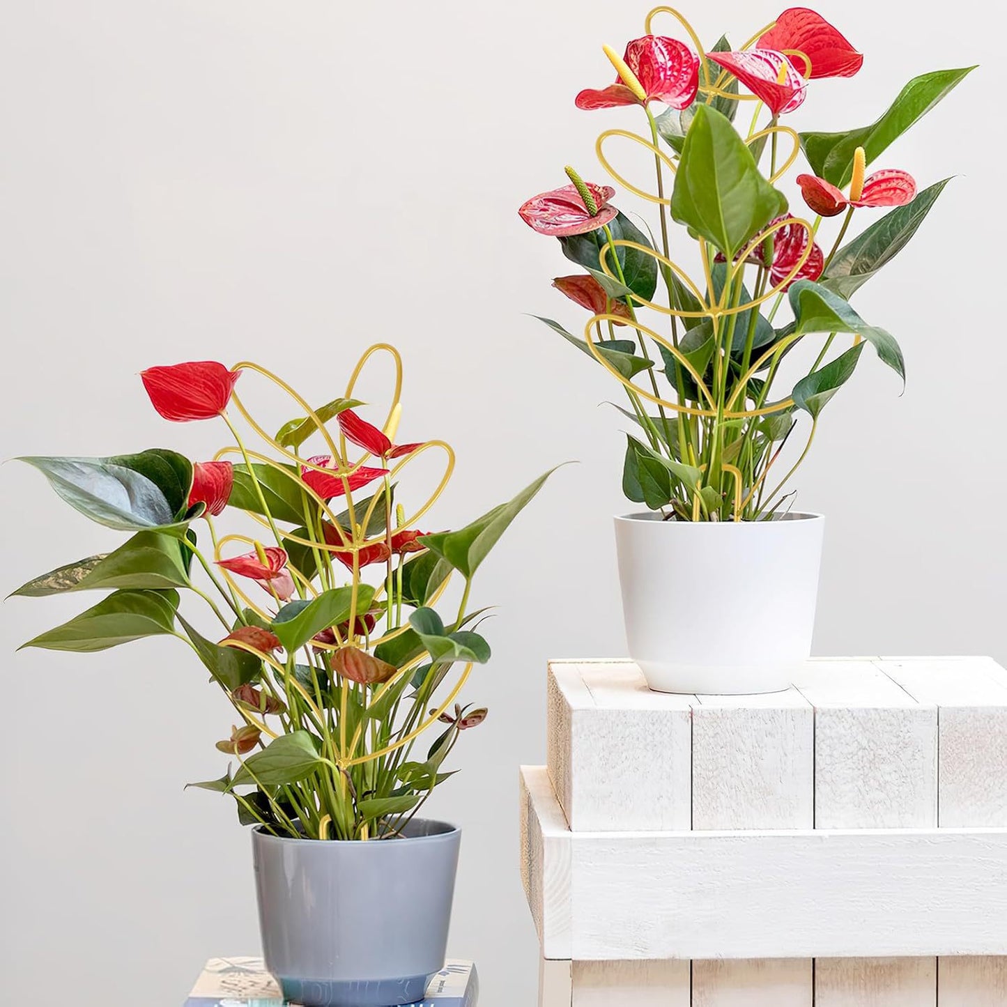 Plant Support Climbing Plants - Leaf-Shaped Plant Climbing Rack - Decorative Plant Pole for Indoor Use - V1189-HB003WSRR00006