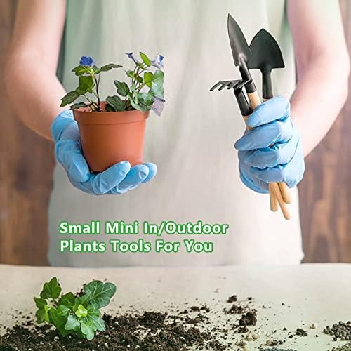Small Garden Tool Set, 6 Pieces Iron Gardening Kit Including Hand Shovel, Transplant Shovel and Hand Rake V1189-LWWAL-20260325-00244