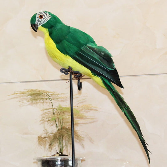 PALIFEUR Fake Parrot, 10 x 0.4 Inch Realistic Artificial Birds Model, Fade Birds for Garden Patio Yard Lawns V1189-LWWAL-20260325-01065