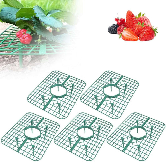 JWDX Rack Clearance, Strawberry Plant Support Strawberry Stand Keeping Strawberry Plants Clean Strawberry V1189-LWWAL-20260325-01914