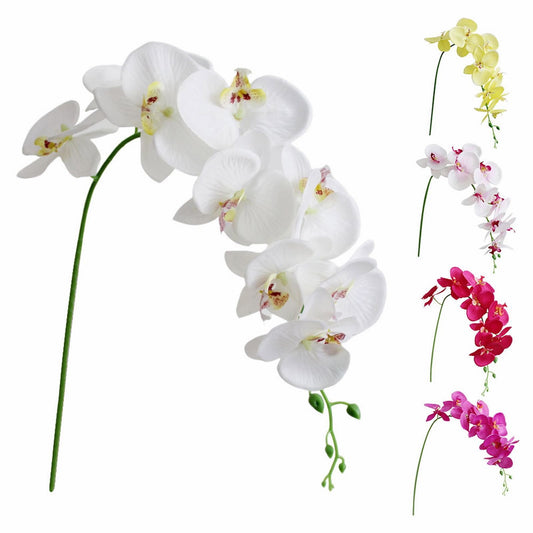LGCASL Flowers Faux Butterfly Orchid 1 Pc Real Double Branch Silk Flowers for Wedding Home Office Party Hotel V1189-LWWAL-20260325-02359