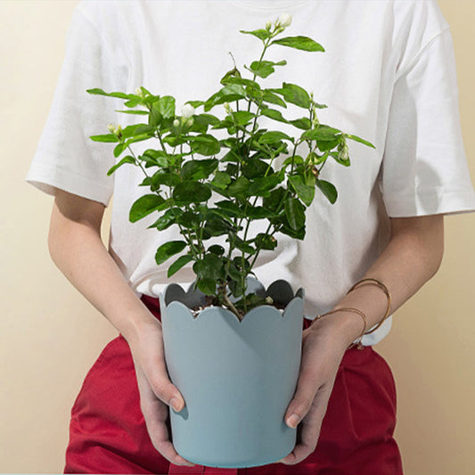 Jwdx Flower Pots Clearance, Garden Supplies Promotion! Plastic Plant Pots for Plants With Saucers Indoor Set V1189-LWWAL-20260325-02909
