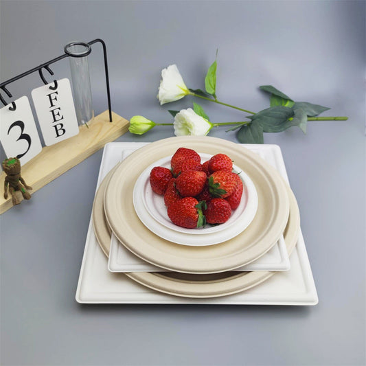 6 inch Round Disposable White Bagasse Dinner Plate, 100% Compostable Natural Sugarcane Fibers, Heavy Duty V1189-LWWAL-20260401-05963