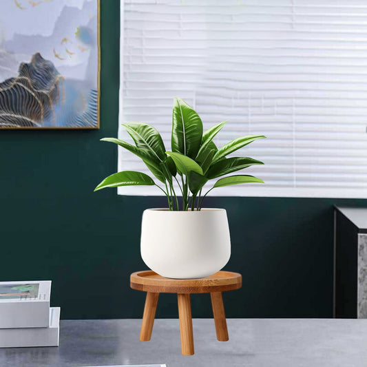 Wood Plant Stands Indoor,Mid-Century Modern Single Plant Stand for 3-12 Inch Pots,Tall Plant Stool for Large V1189-LWWAL-20260401-06286