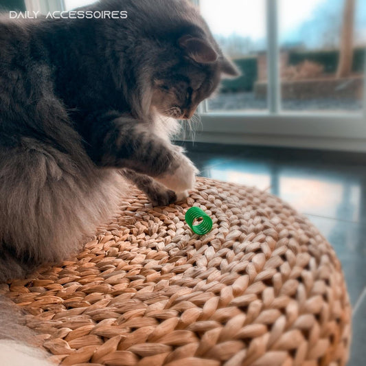 Cat Toys | Cat Springs | Cat Jumping Springs | Spring | Cat Spring | Set of 4 V1189-WXFBOL-20-1