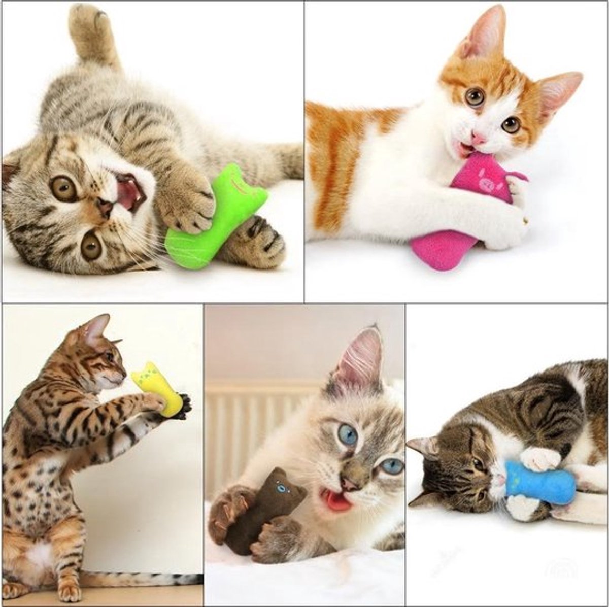 Catnip Plush Toy | Cat Toys | Catnip | Cat Toys | BLUE V1189-WXFBOL-54-1