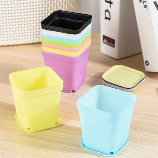 3 Inch Seedling Nursery Pots with Pallet,Colorful Flower Pots,Square Plastic Plant Pots,Succulent Planter V1189-WXFWAL-20260319-00238