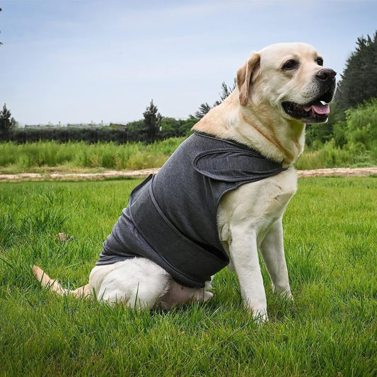 Dog Jacket, Skin-Friendly Dog Calming Vest - Dog Shirt for Thunder, Fireworks and Separation - Keep Pet Calm V1189-WXFWAL-20260319-01199
