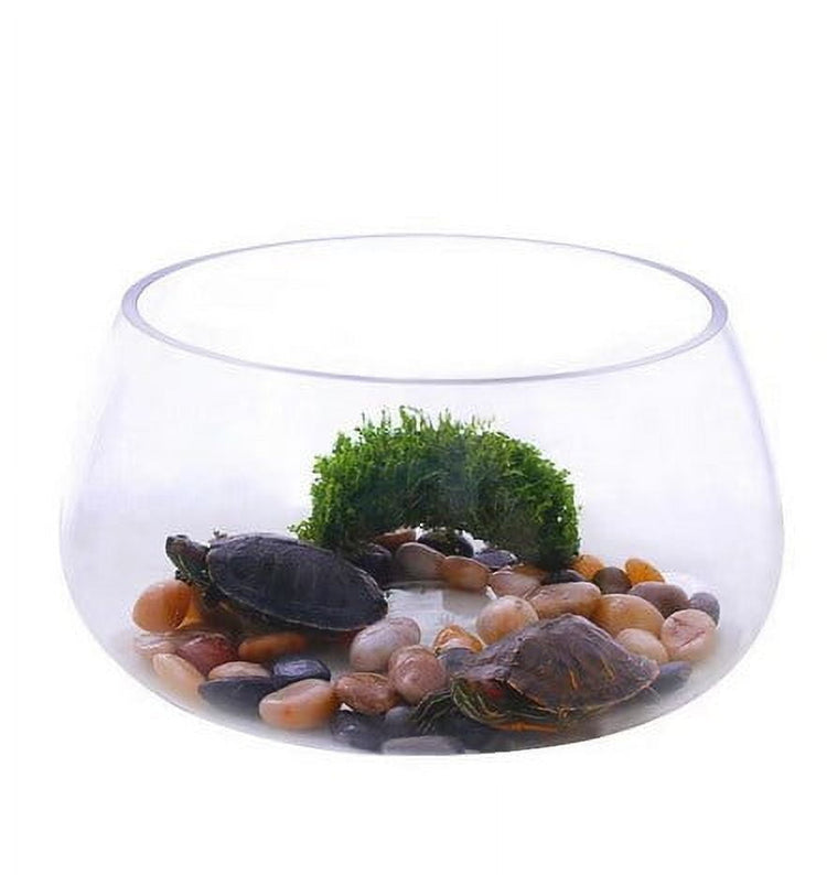 Round Clear Glass Fish Bowl Small Transparent Aquarium Tank for Desktop Fish Tank Landscaping and Turtle V1189-WXFWAL-20260326-01829