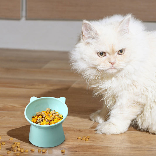 Darzheoy Raised Cat Food Bowl 15 Degrees Elevated Cat Bowls Anti Vomiting Tilted Raised Cat Food Bowl Plastic V1189-WXFWAL-20260326-01863