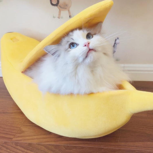 Darzheoy Banana Pet Bed, Cute Funny Fruit Bed with Removable Cushion for Dogs, Indoor Cats, Rabbits, Small V1189-WXFWAL-20260326-03174