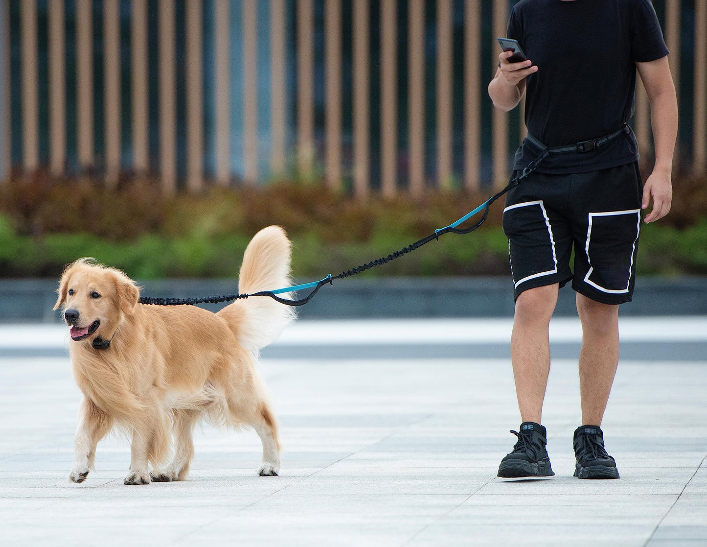Hands Free Waist Leash for Dog Running Training and Jogging, Adjustable Belt with Double Handle, Reflective V1192-AZ-W-0262