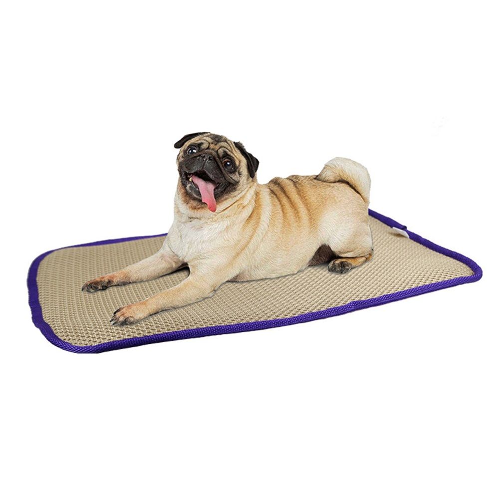 Pet Comfort Dog Pillow, Tiny 12" x 19" - Machine Dog Bed for House, Sofa, Crate & Travel - Soft, Comfy, V1192-AZ-W-0385