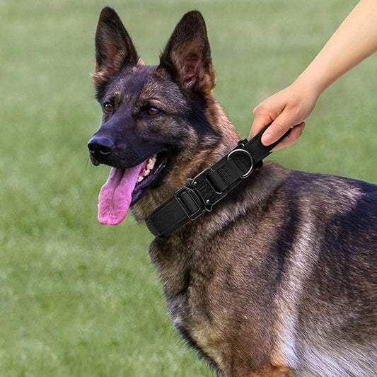 Dog Collar and Leash Set Heavy Duty Military Dog Collar with Handle and Metal Buckle for Medium and Large V1192-AZ-W-0968