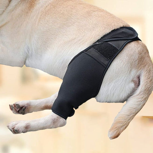Dog Recovery Socks - Waterproof Paw Protectors with Non-Slip Sole | Post-Surgery Boots for Wound Protection | V1192-AZ-W-2865