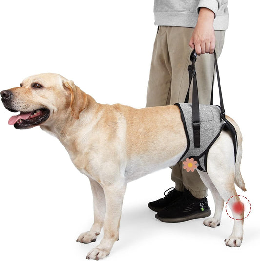Dog Lift Harness - Adjustable Support for Medium Large Dogs, Comfortable Design with Padded Back Legs for V1192-AZ-W-3005