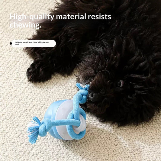 Interactive Dog Toys with Motion Activated, Squeaky Dog Toy Active Rolling Ball for Puppy and Medium Dogs, V1192-AZ-W-3119