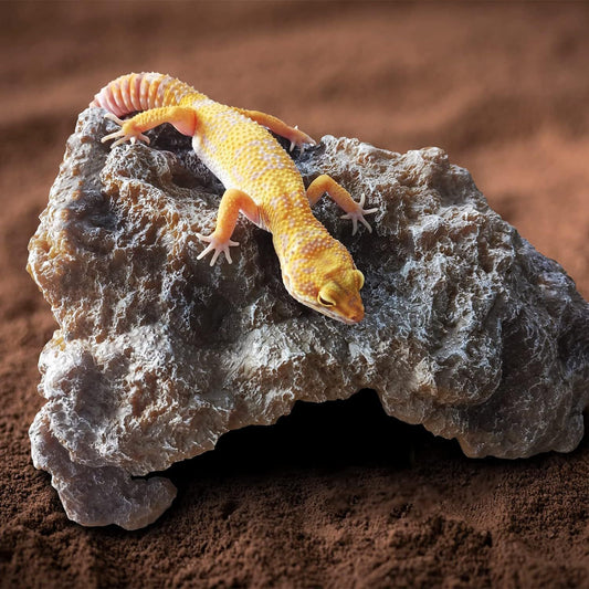 Reptile Hide Cave, Large Resin Bearded Dragon Hideout Rock Caves Snake Hide, Natural Terrarium Habitat Decor V1192-AZ-W-3284