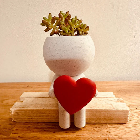 Home Decor Succulent Air Planter Stand,Air Plant holder, Air Plant Lover Gift Desk Decor V1195-V3DOY000476W